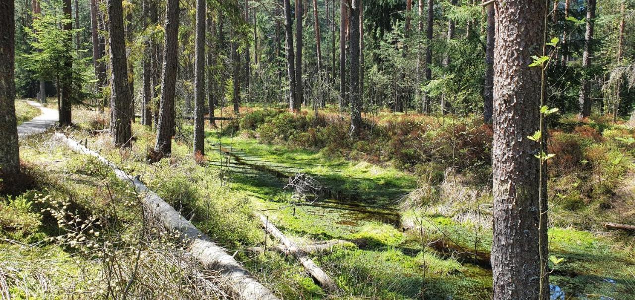 Eco Domek Z Duzym Ogrodem I Widokiem Мужасихле Екстер'єр фото