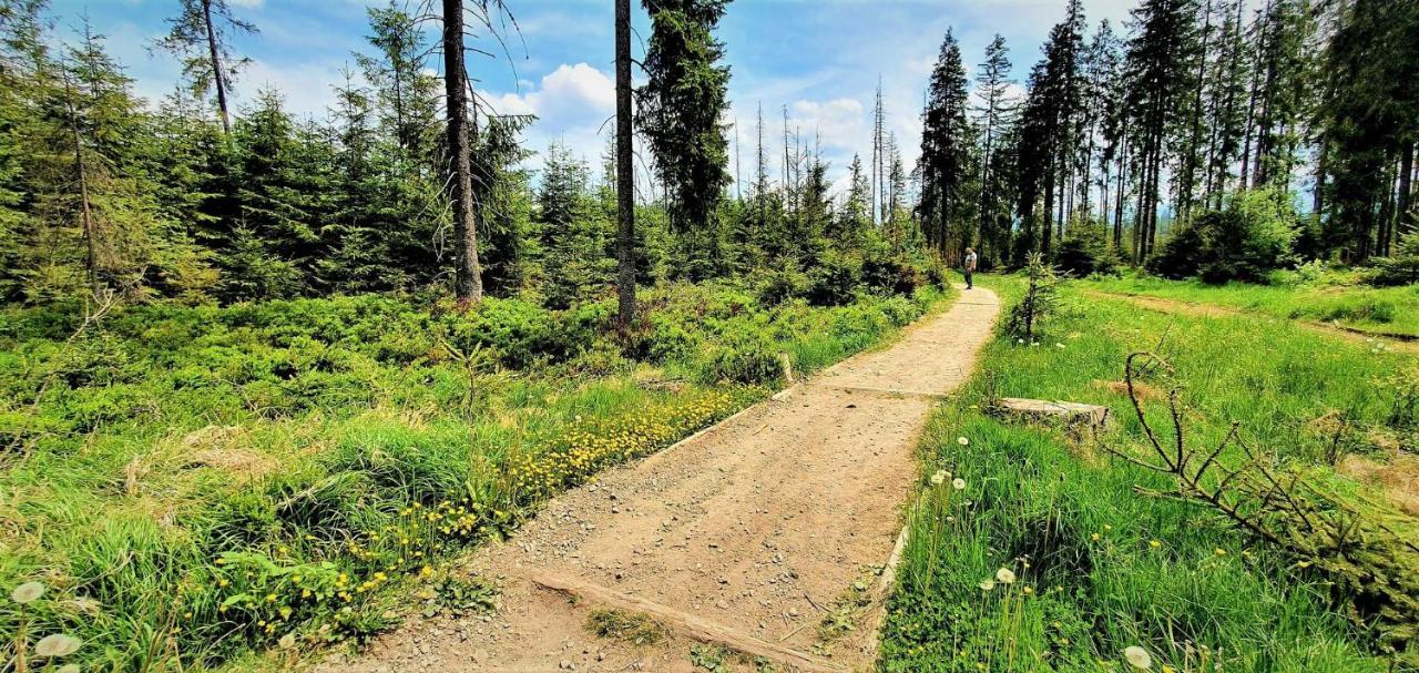 Eco Domek Z Duzym Ogrodem I Widokiem Мужасихле Екстер'єр фото