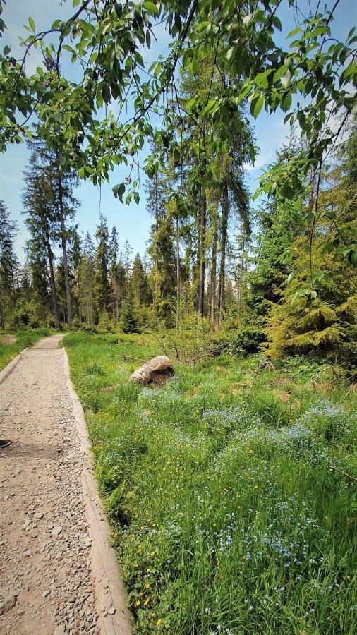 Eco Domek Z Duzym Ogrodem I Widokiem Мужасихле Екстер'єр фото